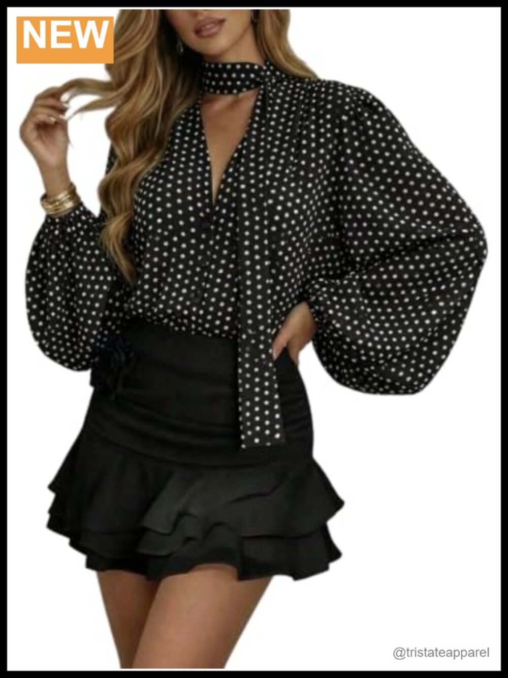 Polka Dot V-Neck Long Sleeve Sheer Blouse with Scarf